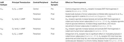 Effects of Caffeine on Brown Adipose Tissue Thermogenesis and Metabolic Homeostasis: A Review